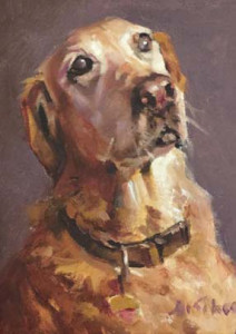 OPOM-Dog-Days-1